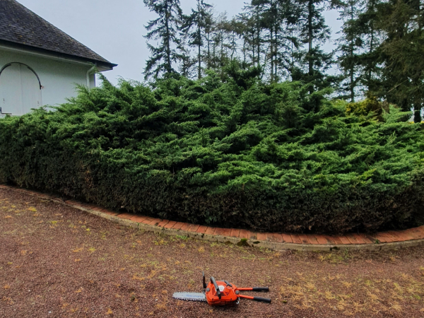 Consilio Paysage PAYSAGISTE IFFENDIC Apres